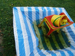 Stagnant water in a child's paddling pool. Photo Credit: erix! via Compfight cc